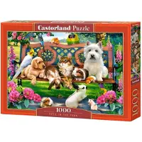 Castorland Pets in the Park 1000 pcs, 1000 Stück(e), Tiere, 9 Jahr(e)