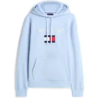 Tommy Hilfiger Tommy Embro Flag Hoodie Well Water Größe: S | Kaputzenpullis Outlet | Herren