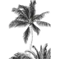 Overig Vliestapete "Digitaldruck Vlies - Retro Palm - Größe 200 x 280 cm" bedruckt glatt Kinderzimmer
