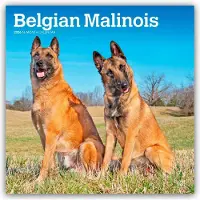 BrownTrout Malinois Kalender 2026