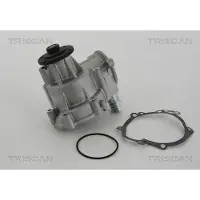 TRISCAN Wasserpumpe 8600 11034