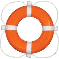 Taylor Rettungsring 32-363 20´´