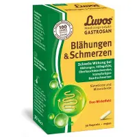 Heilerde-Gesellschaft Luvos Just GmbH & Co. KG Luvos Gastrosan Blähungen & Schmerzen Kapseln 30 St