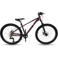 RALI Pro 0 Aluminium 26´´ Ty300 Mountainbike