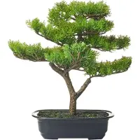 Beliani Pine