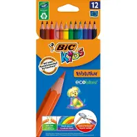 BIC Evolution