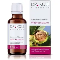 Dr. Koll Biopharm GmbH Gemmo-Mazerat Walnussbaum Dr.Koll Juglans reg.Tro. 50 ml Tropfen
