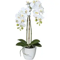 Creativ Green Kunstpflanze "Orchidee Phalaenopsis" im Keramiktopf