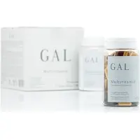 GAL + Multivitamin 205,9 g