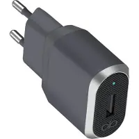 BigBen Interactive FPCS2.4A1USBAG, Drinnen, AC, 2,4 A, Grau, Silber