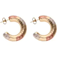 NAEMI Women Earrings in Gold | Gr.: onesize
