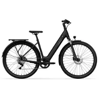 Tenways Elektrofahrrad CGO800 Plus