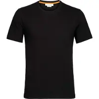 Icebreaker Central Classic Kurzarm-t-shirt