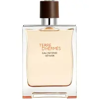 Hermès Paris Terre D'Eau Intense Vetiver Eau De Parfum 200ml