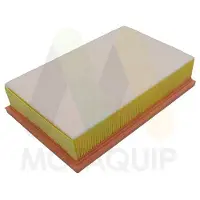 MOTAQUIP Luftfilter LVFA1639