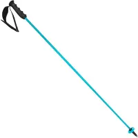 Head Worldcup Rebels Carbon speed blue/blk/white Stöcke - 120 cm