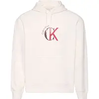 Calvin Klein Jeans Eu 350 Terry Graphic Kapuzenpullover