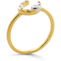 Orphelia 'Aurora' Damen-Ring aus 925er Sterlingsilber – Silber/Gold ZR-7525/G