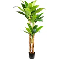 Creativ Green Kunstpalme "Bananenpflanze"