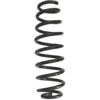 SPIDAN Fahrwerksfeder GKNW10214