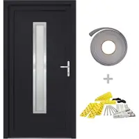 vidaXL Haustür Anthrazit 108x200 cm PVC