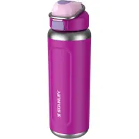 Stanley Wellspring Flasche