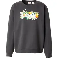 Levi's Levis Sweatshirt "GR EVERYDAY CREW", mit Logoprint