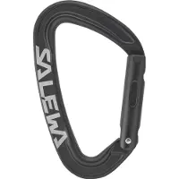 Salewa Karabinerhaken Ortles Straight