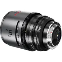 DZOfilm Pavo 2x Anamorphic 3-Lens Kit (28/40/75mm T2.1) for PL/EF Mount (S35) imperial - Golden Coat