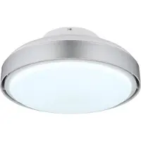 Globo 03667SI