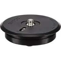 Gitzo GS5321SP Systematic Platte Serie5