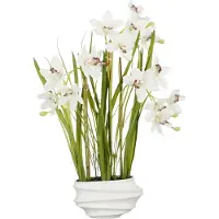 Mica Decorations Mica Kunstpflanze Cymbidium im Topf creme 81 x 40 cm GLO660754942