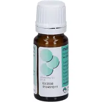 Meta Fackler Arzneimitel GmbH Metamarianum Leberglobuli 10 g