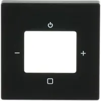 Busch-Jaeger Zentralscheibe, 8252-885-101, für Busch-Radio, mit Beschriftung Radio, schwarz matt, 1 Stk.
