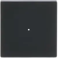 Busch-Jaeger Wippe 6230-10-885, schwarz matt