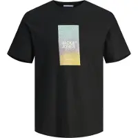 Jack & Jones Aruba Sunset Branding Kurzarm-t-shirt Schwarz L Herren Schwarz L