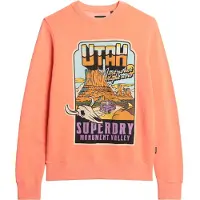 Superdry Neon Travel Loose Sweatshirt