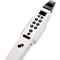 Carry On Carry-On Digital Wind Instrument MIDI Blascontroller White