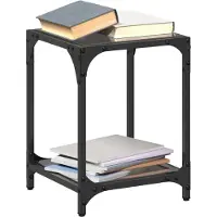 vidaXL Couchtische mit Glasplatte 2 Stk. Schwarz 30x30x40 cm Stahl
