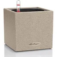 Lechuza Canto Stone 14