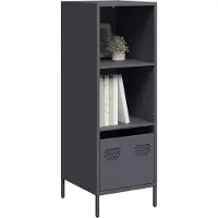 vidaXL Highboard Anthrazit 35x39x103,5 cm Stahl