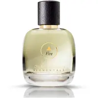 Elementals - Fire Edp 100 ml