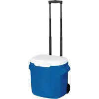 Famanu Kühlerbox 16L mit Handgriff - stabil und mobil