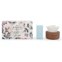 Laura Ashley Duftblumen Laura Ashley Iris & Patchouli, HxBxT: 9x11x16 cm, Keramik, Glas, Paulownia-Holz, Raumduftblume