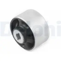 Delphi Lagerung, Lenker TD2100W