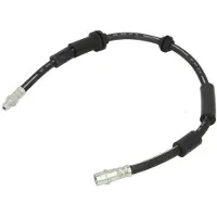 Delphi Bremsschlauch LH7481