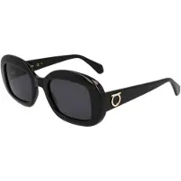 Ferragamo SF2038S Unisex-Sonnenbrille Vollrand Oval Acetat-Gestell, schwarz