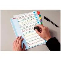 Esselte Register Projekt Mylar A4+ skriv&ret1-31 - (10 stk.)