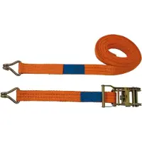 Petex Ratschenspanngurt m Doppelspitzhaken