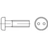 Toolcraft TO-5379948 Sikkerhedsskruer M6 16 mm Tohuls 88111 Rustfrit stål A2 100 stk